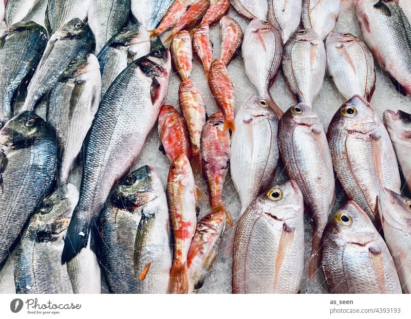 Fresh fish Fish Markets Marseille Glittering Herring sprint Orange Blue Gray White Food Colour photo Nutrition Animal Dead animal Deserted Fish market