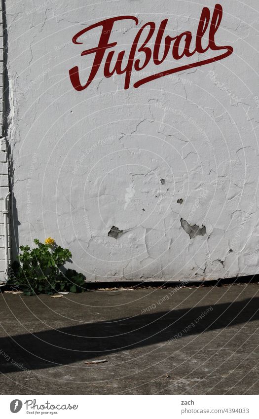 soccer Wall (building) Facade Graffiti Wall (barrier) Letters (alphabet) Word Typography Characters Foot ball Sports Athletic