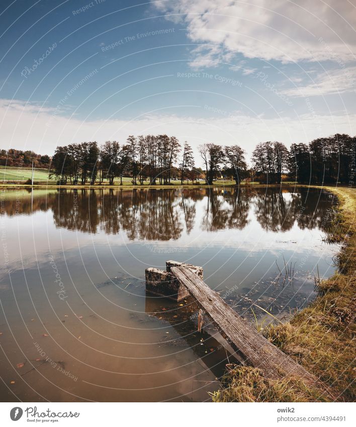 Old springboard Pond Footbridge Calm Idyll Beautiful weather Horizon Sky Clouds Water Plant Landscape Nature Environment Peaceful Surface of water naturally