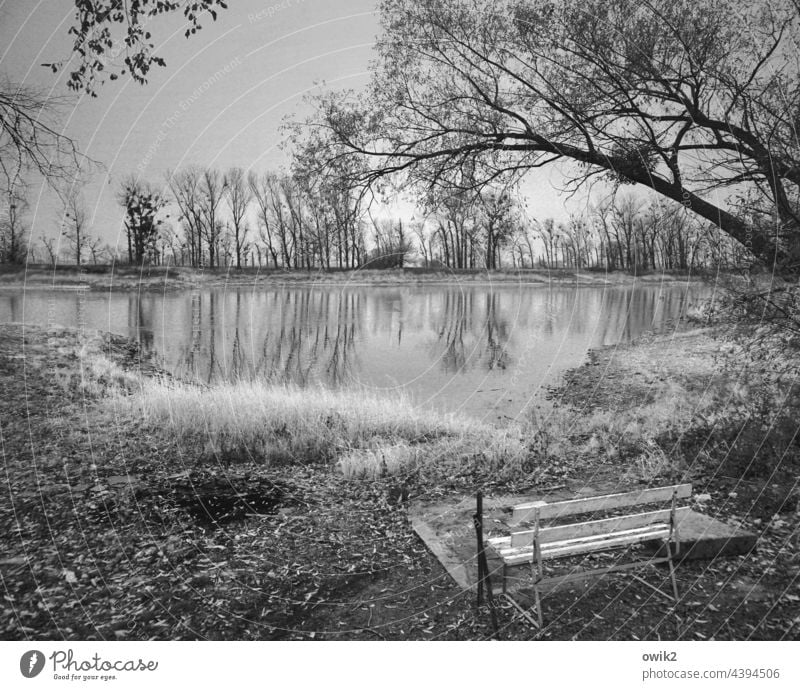 Elbe near Elster River bank Panorama (View) Deserted Twilight Long shot Exterior shot Environment Nature Landscape Peaceful Beautiful weather Calm Plant Bushes