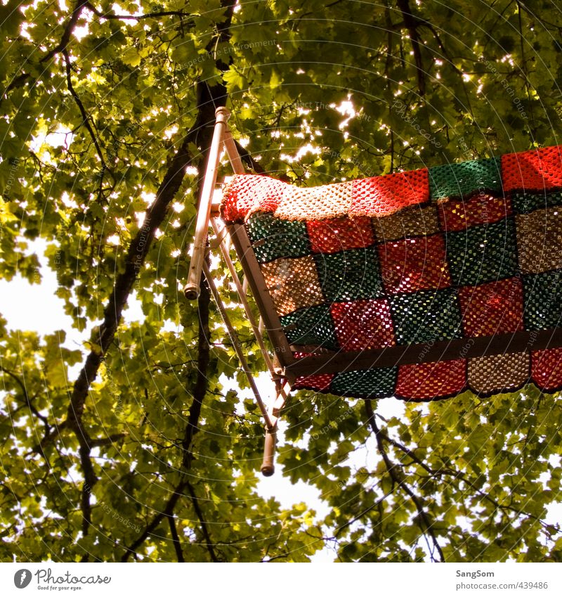 four-poster bed Summer Bed Nature Sky Beautiful weather Tree Garden Wood Metal Hang Sleep Exceptional Brown Multicoloured Green Red Dream Living or residing