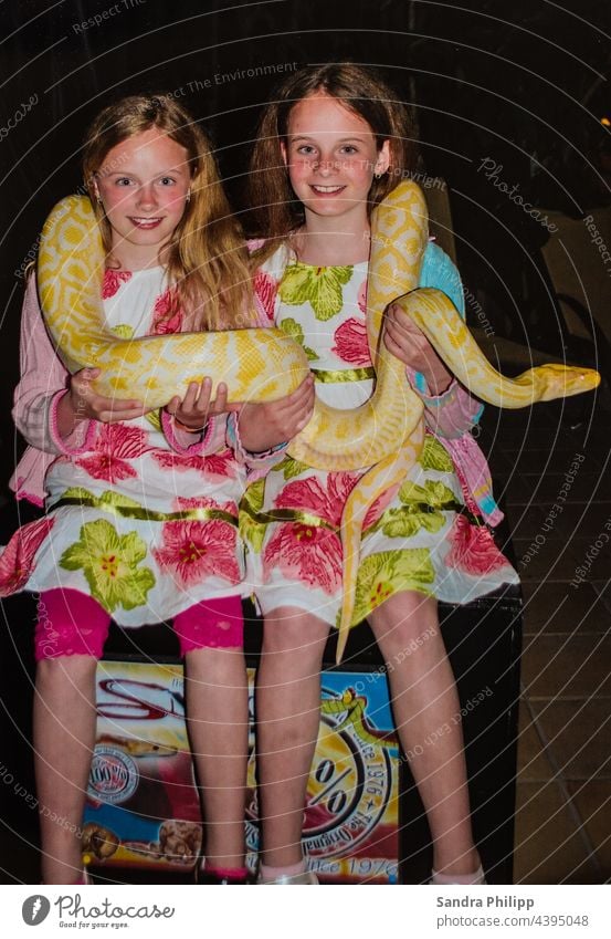 two girls hold an albino tiger python in their hands and around their neck Snake twins Girl dresses Laughter Joy Photo shoot Happiness portrait Exterior shot