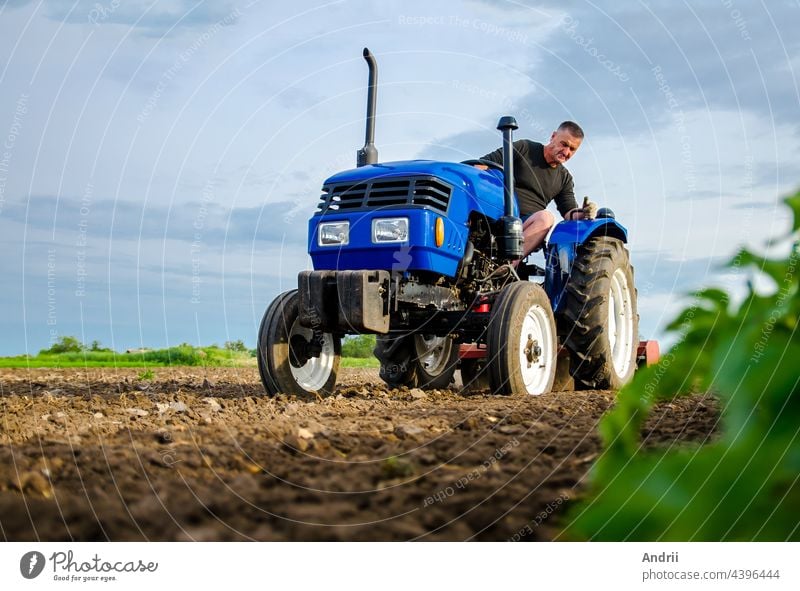 A farmer on a tractor works in the field. Milling soil, crushing and loosening ground before cutting rows. Farming, agriculture. Preparatory earthworks before planting a new crop. Land cultivation