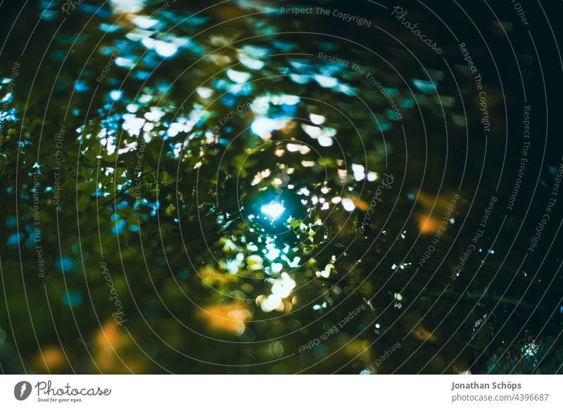 Reflection in puddle from leaf canopy reflection Puddle Water Body of water Leaf canopy Forest Nature Close-up Mirror image Sun Light bokeh blurriness