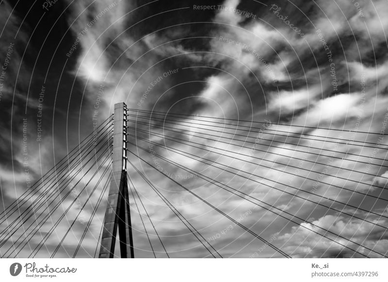 View towards the sky - from a paddle steamer on the river Elbe towards the bridge in Niederwartha/Cossebaude - Germany's longest cable-stayed bridge in composite design