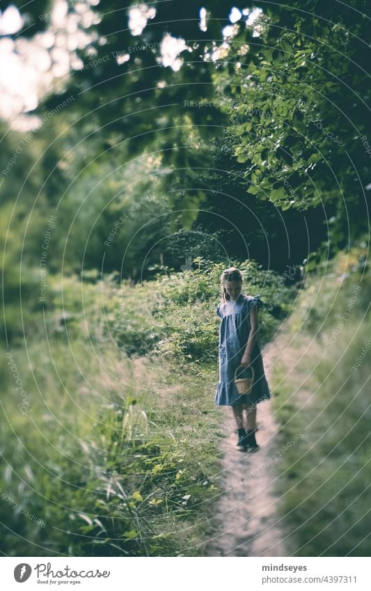 Girl with basket alone in the forest girl blue dress lonely sad sadness Loneliness Silence in the forest silence Silent wandering Basket childhood Lost