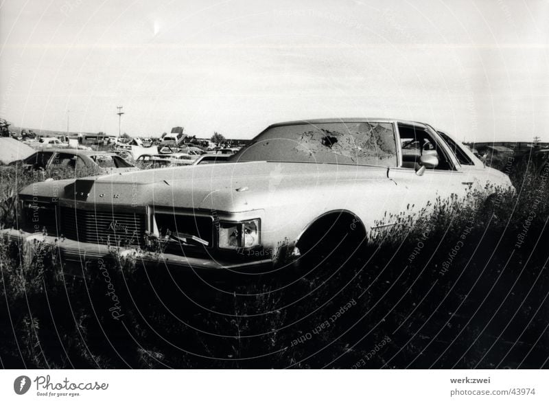 death pony Scrapyard Vintage car Cemetery Electrical equipment Technology Black & white photo death body