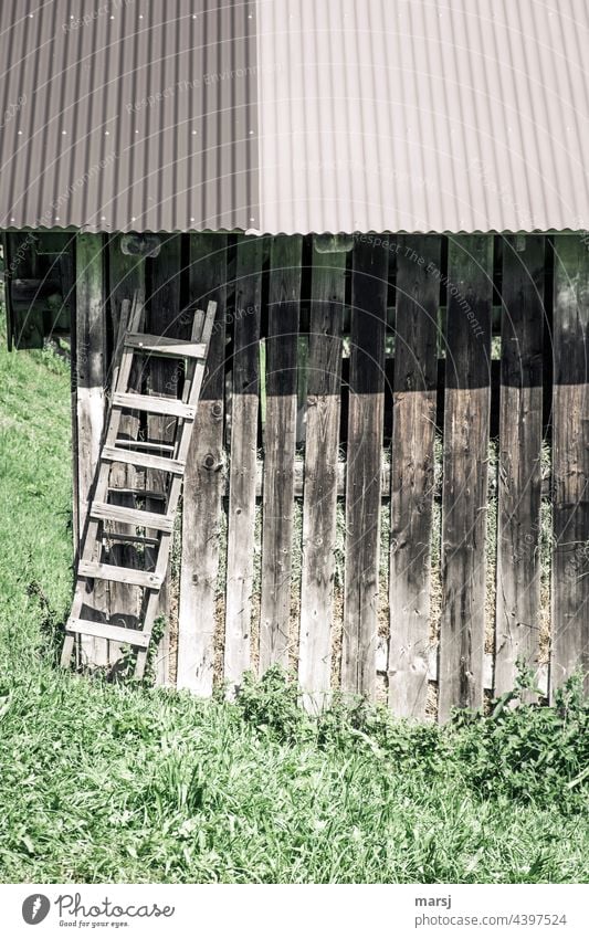 Ascent ends under the roof of the old hayloft. Ladder Hut ascent Wood Hayrick Stadl hay barnyard Weathered slanting Grass in the country Agriculture Quaint