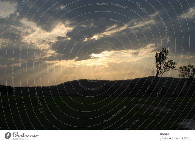 Australia Night Clouds Sunset Tree