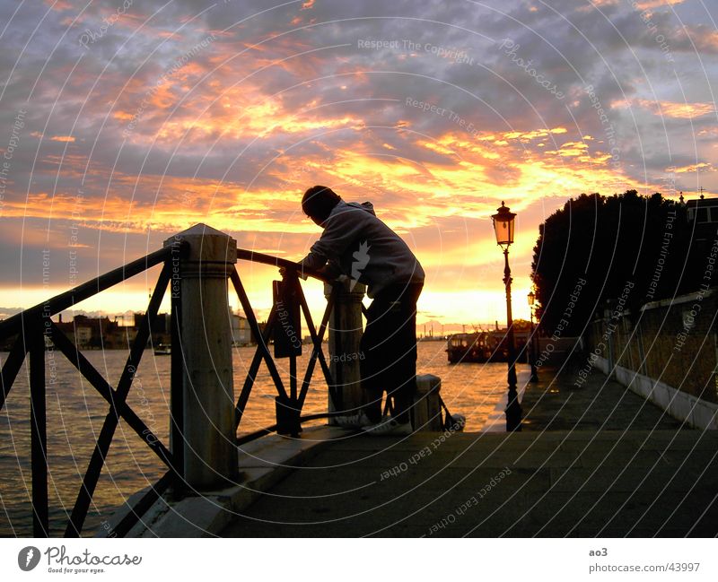 evening light Sunset Night Think Clouds Dream Venice Light Red White Yellow Green Evening Loneliness Lamp Ocean Beach Lake Wood Black Art Tasty Bridge Arne Sky