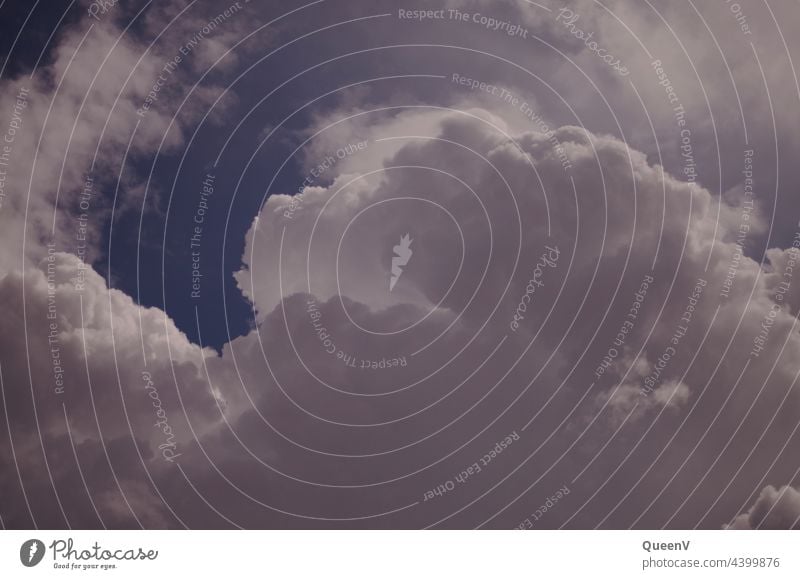 thundercloud Thunder and lightning Environment Gorgeous Dream Bad weather Weather Nature Storm Rain Sky Clouds Elements Gale Storm clouds Landscape Wind