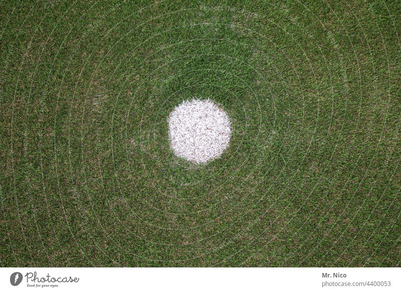 Penalty Point Penalty kick eleven-meter point penalty shootout White Green Lawn Grass Artificial lawn artificial turf pitch Sporting grounds Football pitch