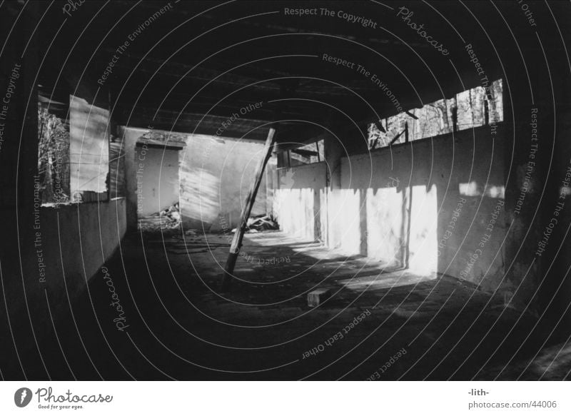 storeroom Shed Broken Prop Derelict Architecture Black & white photo Tree trunk