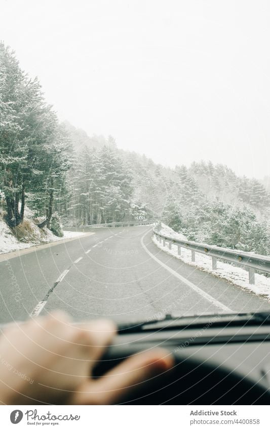 Crop driver in vehicle on road between snowy trees route direction sky highland travel winter mountain pyrenees nature coniferous wavy asphalt road trip roadway