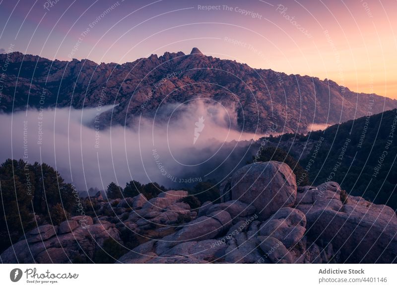 Fog between ridges and boulders at dawn fog mountain range tree sky pedriza nature diffuse air environment ecology landscape mist sunrise vegetate grow spain