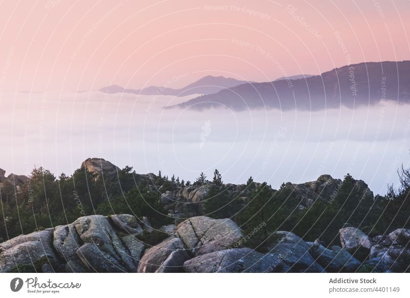 Fog between ridges and boulders at dawn fog mountain range tree sky pedriza nature diffuse air environment ecology landscape mist sunrise vegetate grow spain