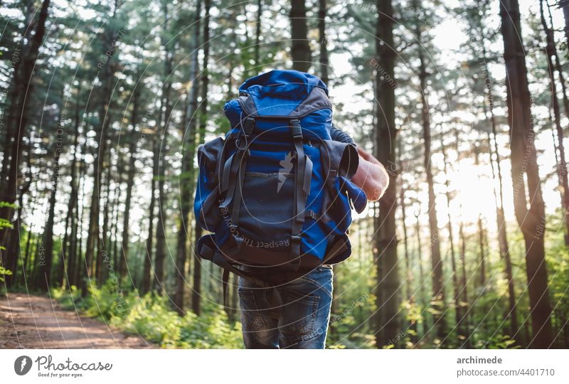 Hiker man with a big backpack in the forest - from behind backpaker tree young wild free escapism discovery destination direction hike hiker people adventure