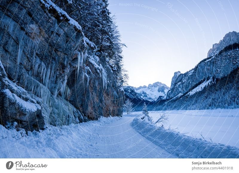 Winter wonderland at the front Gosausee in Austria - in the background the Dachstein Lake Vorderer Gosausee Gosau lake Landscape winter wonderland Snow Ice