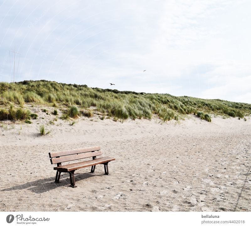 Dune off Helgoland - pure relaxation Colour photo Exterior shot Nature coast Environment Day Beach Deserted Ocean North Sea Water Island Light naturally