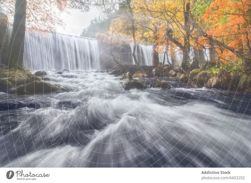 Waterfalls and river with fast aqua streams in mountains waterfall motion dynamic energy power nature highland flow landscape autumn tree vegetate picturesque