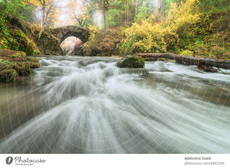 River with fast water flows between autumn trees river motion energy dynamic nature landscape bridge stream vegetate picturesque scenic rapid old fall season