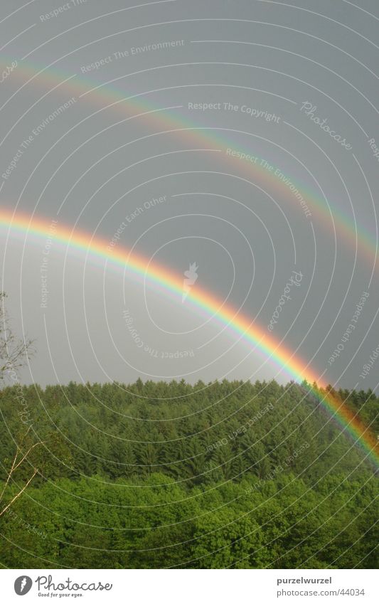 Rainbow in Oberberg Forest Oberberg district June 2005