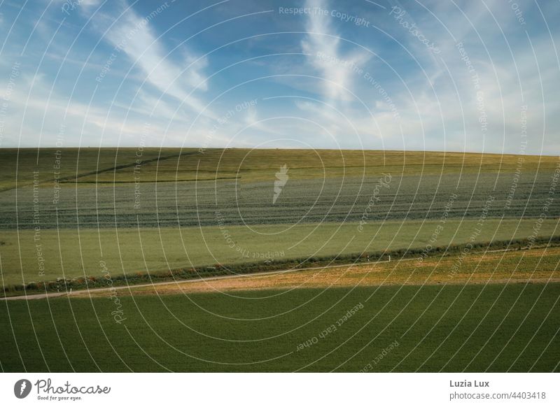 Landscape, country road and blue sky with light clouds Country road fields Sky Summer Summertime Blue sky Clouds far wide Horizon Beautiful weather Day