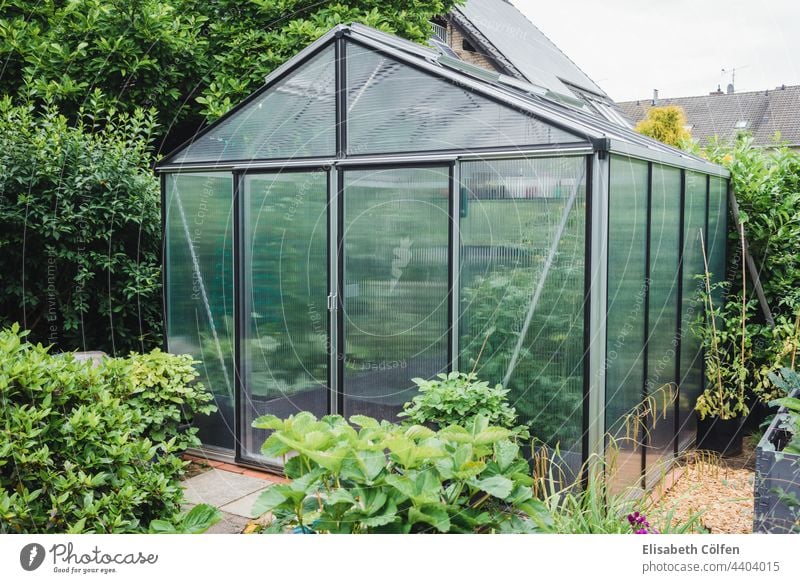 Greenhouse in the garden greenhouse raised beds growing glasshouse summer outdoor cottage garden agriculture hothouse insulation polycorbonate panels tomatoes