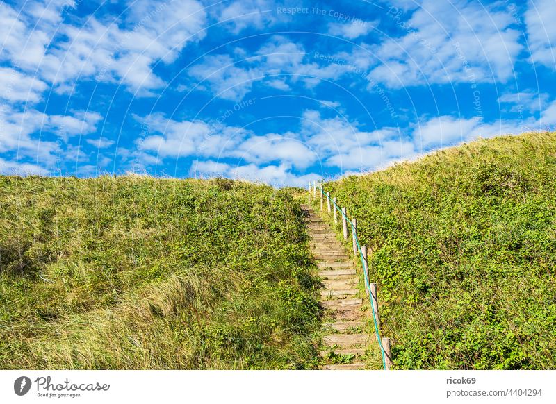 Staircase in the dunes near Hirtshals in Denmark shepherd's check duene coast North Sea Skagerrak Summer Marram grass Stairs Banister Nature Jutland Hjørring