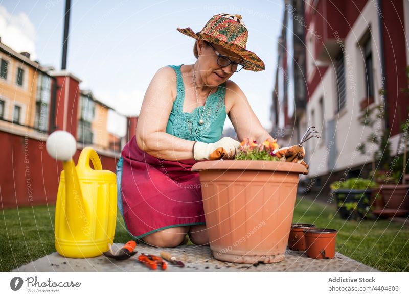 From below mature woman gardener flowers plants relaxation break nature work free spring terrace hands passion hobby checkered young gardening lifestyle shirt