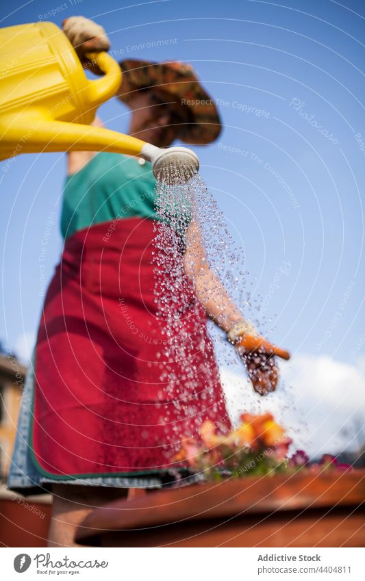 Mature woman watering flowers watering can nature natural gardening outdoors colorful botany brunette work growing mulch beautiful bloom botanical taking care