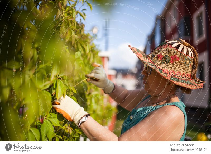 Side view of mature woman gardener nature tree countryside enjoying ravel gardening cultivate outdoors growth outside green happy sunny plant fall agriculture