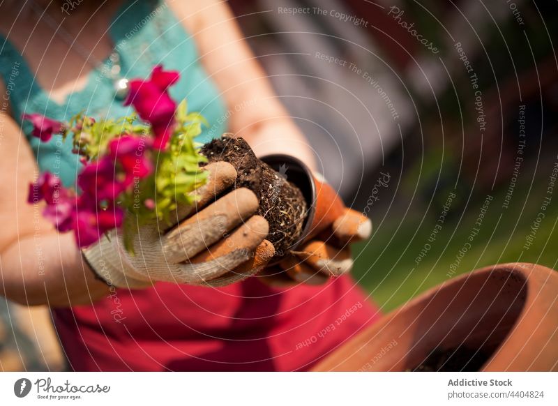 Anonymous mature woman gardener flowers plants relaxation break nature work free spring terrace hands passion hobby checkered young gardening lifestyle shirt