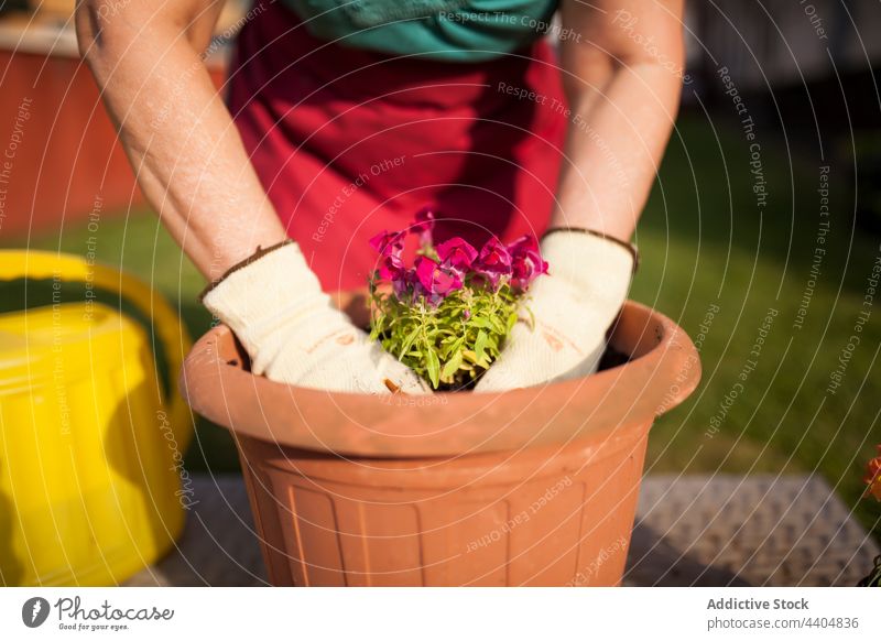 Anonymous mature woman gardener flowers plants relaxation break nature work free spring terrace hands passion hobby checkered young gardening lifestyle shirt