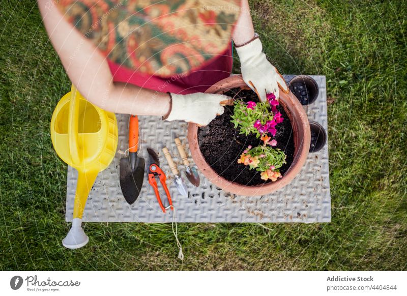 Anonymous mature woman gardener flowers plants relaxation break nature work free spring terrace hands passion hobby checkered young gardening lifestyle shirt