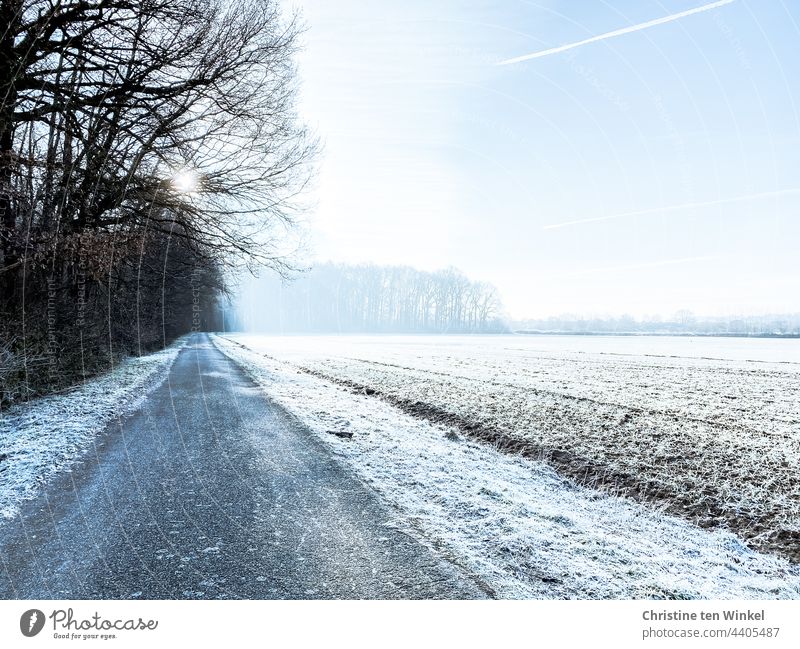 Frosty starts the day, wintry sunshine, nature asleep Winter's day morning sun chill standstill tranquillity chilly morning Cold Nature Frozen White Winter mood