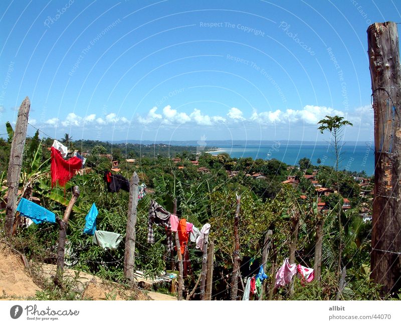 Itaparica Island Beach Ocean Water Brazil Americas South America Fence Sun Vacation & Travel Laundry Palm tree Clouds Summer