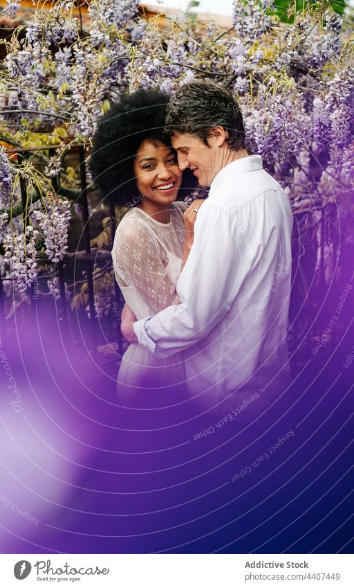 Gentle multiethnic couple embracing in garden with wisteria flowers embrace relationship park love hug content romantic diverse multiracial black