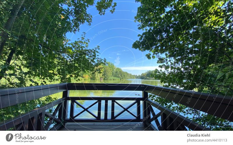 Enjoy the peace and quiet by the lake - let your soul dangle Lake Lakeside Water Nature Colour photo Deserted Calm Relaxation Idyll Loneliness Blue naturally