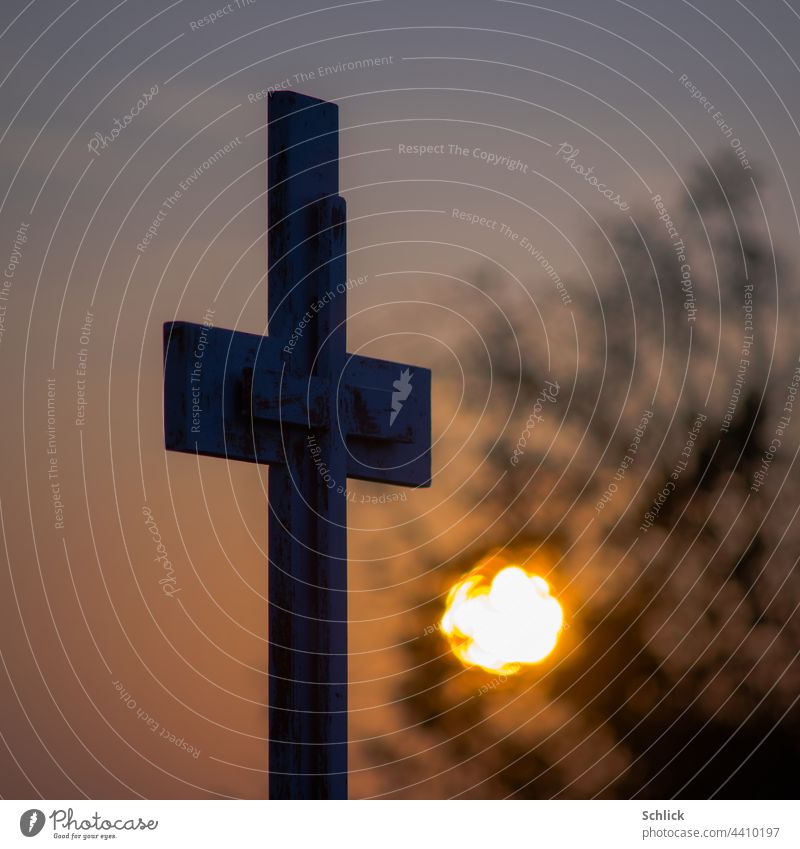 A new life or sunrise under a wayside cross Wegekreuz Sunrise Life New shrub shrubby Crucifix Catholicism Morning Twilight Dawn Sky Sunset Colour photo