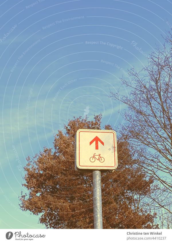 Cycle path sign with bicycle and arrow in red on white background, behind trees and blue sky cycle path Cycle route Bicycle path Direction Right ahead Arrow