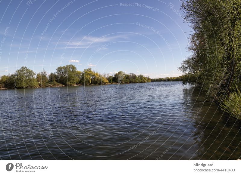 The Main near Hanau River River course Water Channel Navigation Inland navigation River bank Deserted Colour photo Exterior shot Logistics Copy Space top