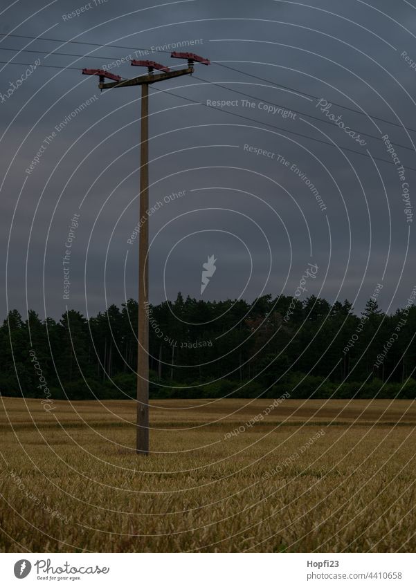 Power pole in cornfield Landscape Nature Close-up Rural Field Arable land acre Sky Tree Exterior shot Blue Deserted Day Colour photo Sunlight Weather Contrast