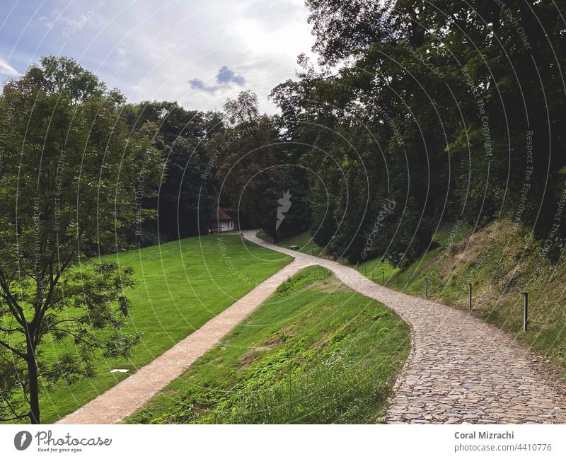 A stone path and a dirt road in a park with clear green grass and trees, Prague, Czech Republic Park Grass Tree Meadow Nature Green Deserted Exterior shot Plant