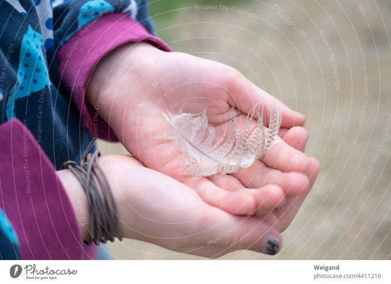 Child with feather in hand consolation Hope Ease Feather amass Grief Bird Mauser