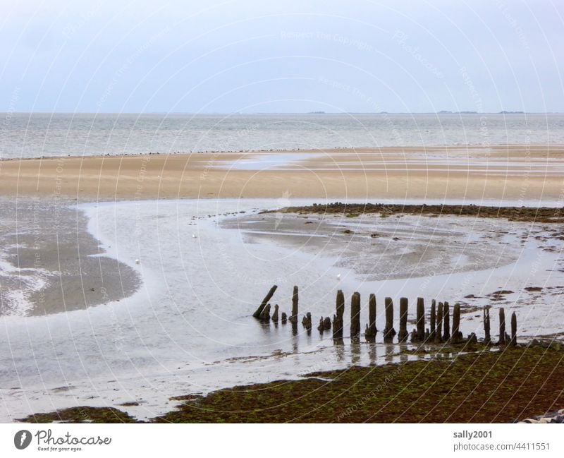 low tide Low tide Tide North Sea Mud flats Amrum Break water Sandbank Ocean Beach coast Horizon Relaxation Far-off places tranquillity Serene Slick Holm