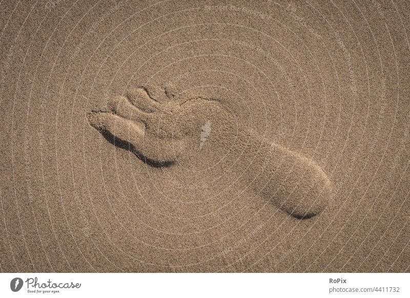 Footprint on the beach. Beach coast Ocean sea ocean Sandy beach trace Feet foot footprint vacation coastal migration Relaxation tranquillity relaxation