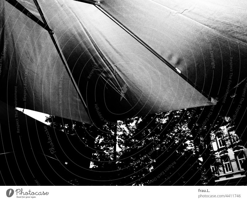 under the umbrella Umbrellas & Shades rain shelter Sidewalk café Bistro Bakery shop Rainy weather houses Town Sun blind Tree foliage Café Gastronomy Restaurant