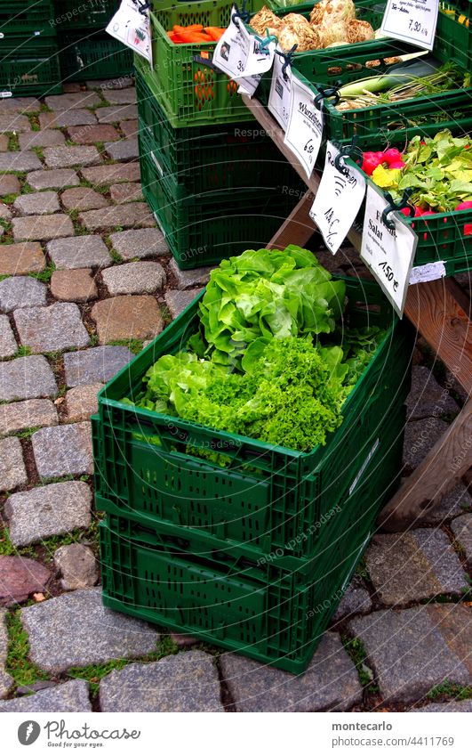 Here we have the salad |Marktfrische Salate| MT Dresden 2021 Lettuce Healthy Nutrition Vegetarian diet Vegetable Food Sustainability Exterior shot Quality