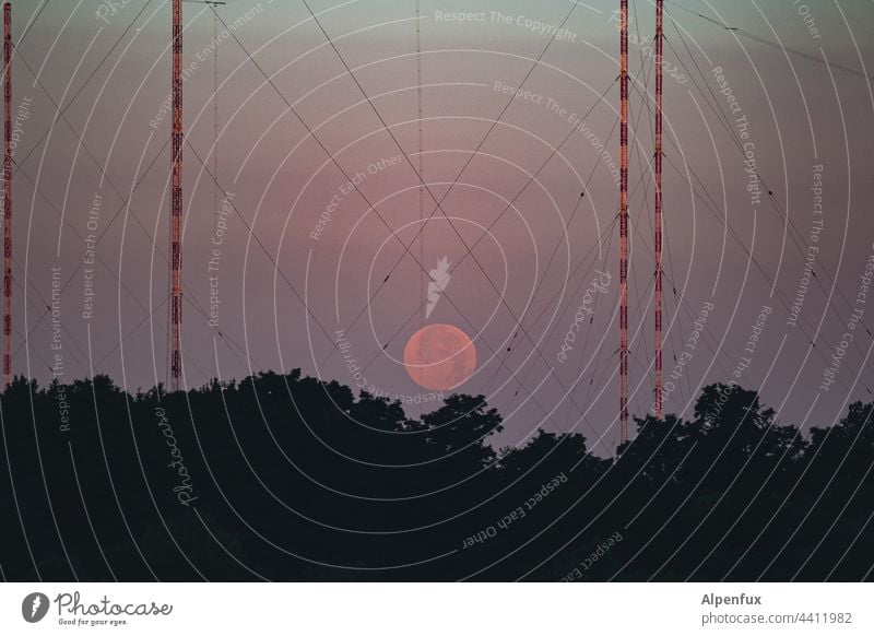 crowded and crosswise Moon Full  moon Night Dark Celestial bodies and the universe Broadcasting tower Night sky Wire cable Moonrise moonset Exterior shot